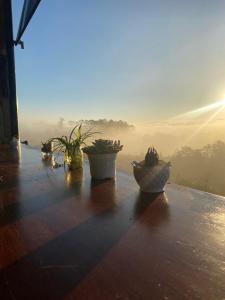 Homestay Rừng Phố 2 - Măng Đen