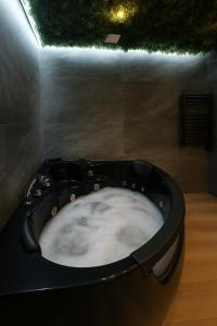 Jungle Room Strasbourg - Évasion Tropicale - Sauna Jacuzzi Balnéo