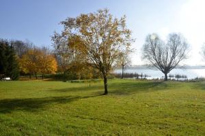 Hotelik nad jeziorem w Łasinie