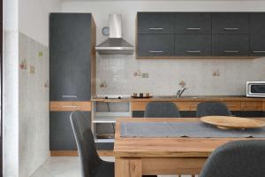 Spacious apartment Mary with terrace