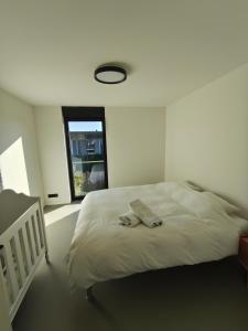 Modern spatious house near Bruges