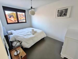 Modern spatious house near Bruges