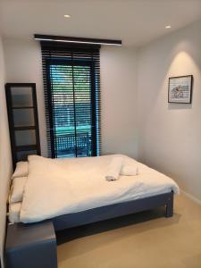 Modern spatious house near Bruges