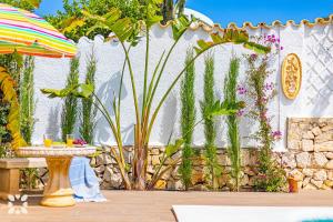 Villa Alamito by Abahana Villas