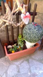 camera per 2 persone con il cuore in relax