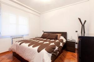 Luxury apartment in the center