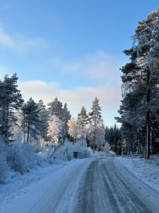 Stunning lakeside home with sauna surrounded by nature