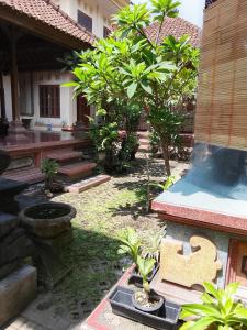 Kuta Grace house Bali