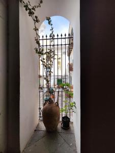 Casa Kenzia, in the heart of Minori