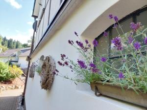 Ferienwohnungen Schneider