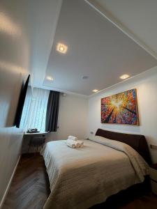 SOFIA Ultra Suite Collection