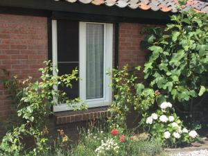 Tranquil Egmond Hideaway