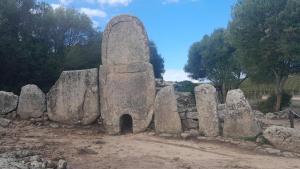 Dependance Pavoncella img36