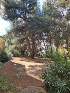 T2 cosy avec balcon & parking - Idéal pour curistes