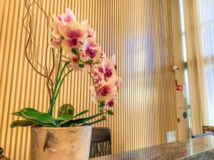 Luxurious Apartment near Av Paulista