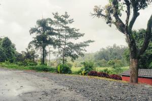 Coorg Saturn Homes