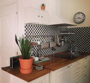 Juliet open space in the historical centre, Cavana area