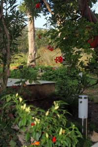 Apartment Stara Novalja 9416a