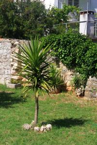 Apartment Orebic 10097a