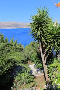 Apartment Okrug Donji 12502c