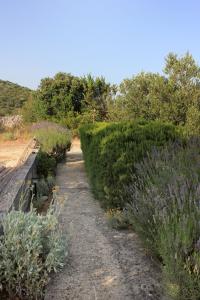 Apartment Zaglav 878a