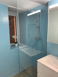 Smartroom Apartment in Bremgarten