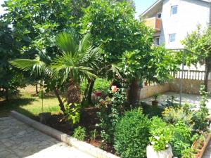 Apartments with parking space Rudina, Hvar - 23777