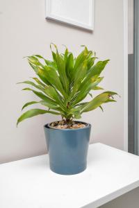 Modern 3BR Flat in Peckham, 2 Baths, Free Parking