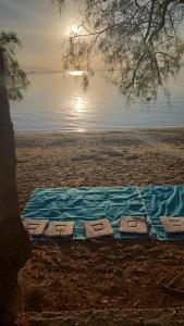 The House By The Sea - family memories strats here