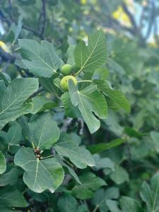 The House By The Sea - family memories strats here