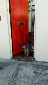 Cozy Studio Next to the Vlei and Nature Reserve