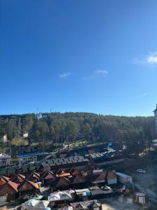 Balkan,Sunny, Cozy, New