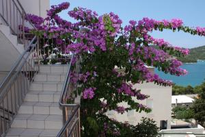 Apartment Tisno 5130c