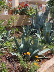 Apartment Punat 5350b