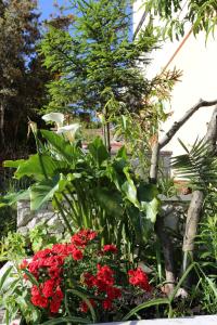 Apartment Tri Zala 4432b