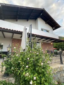 Райска тишина