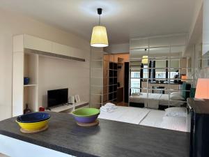 Studio Copou Parhon IRO Spital