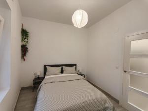 Encanto y confort en el corazón de Alicante