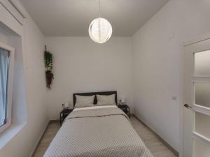 Encanto y confort en el corazón de Alicante