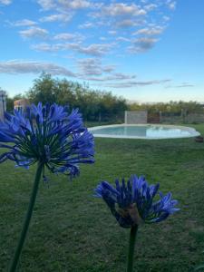 CASAQUINTA EN VILLA CALIFORNIA