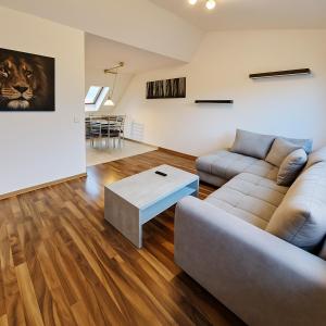 Moritz Apartments - Dosborn 7