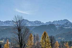 Domek Giewont nr 2 Odkryj-Zakopane