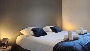 Chez Marlay, centre ville , 3 chambres , clim