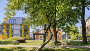 Kotzebue Stay - Sleek & Moody, Dark Green & Black