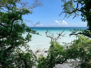 A-Frame House In Ulvshale Forest Near Møns Klint