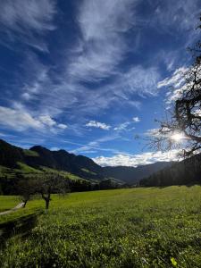 Trail & Tiefschnee Lodge