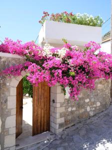 Casa Sofia, By Hellocrete