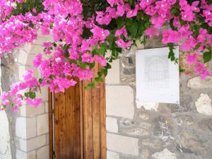 Casa Sofia Apt#1, By Hellocrete