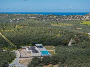 Olive Hill Villa, By Hellocrete