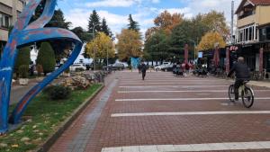 Apartment near the Lake -Pogradec